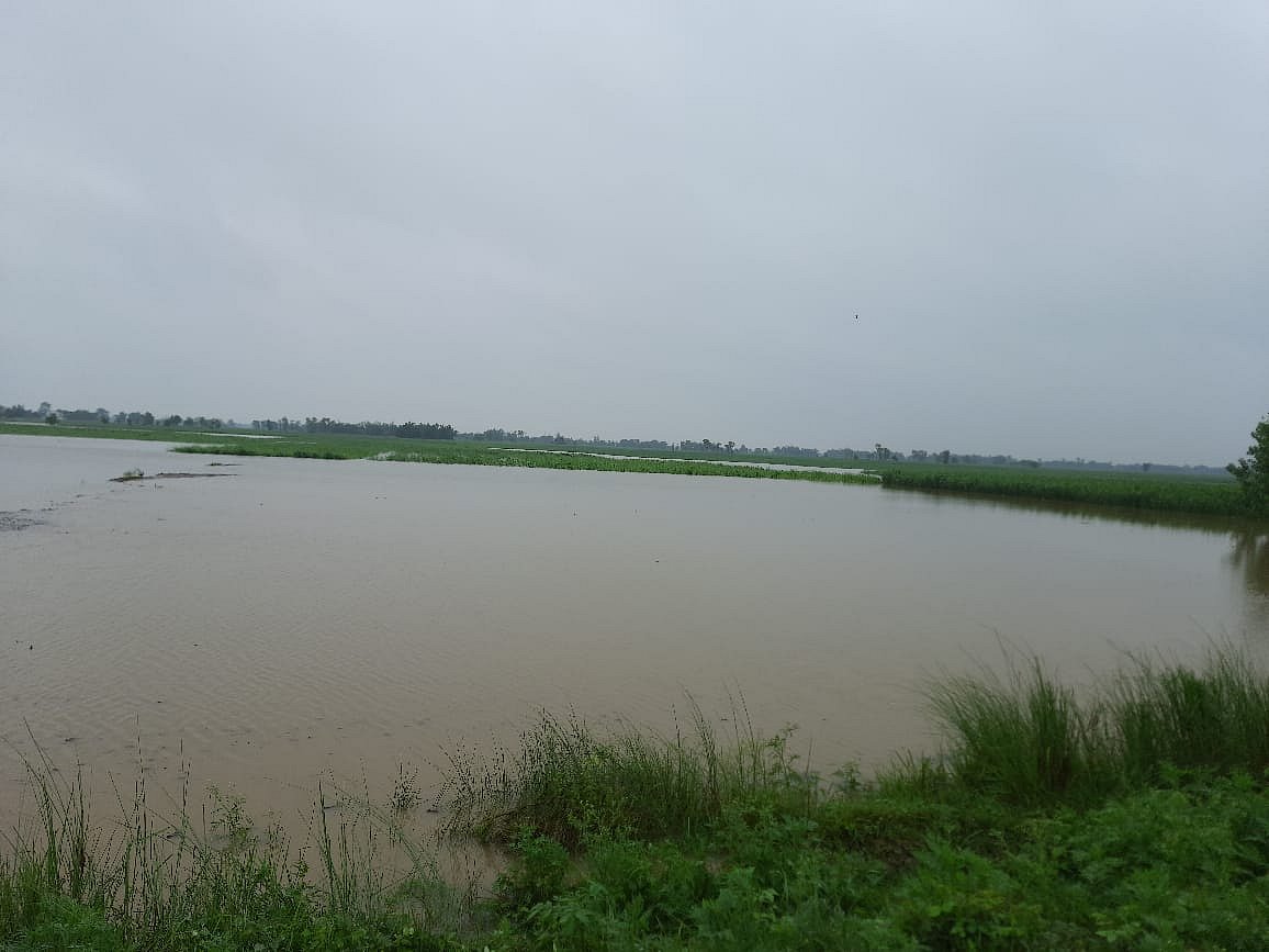 फोटो: मुन्ना राज