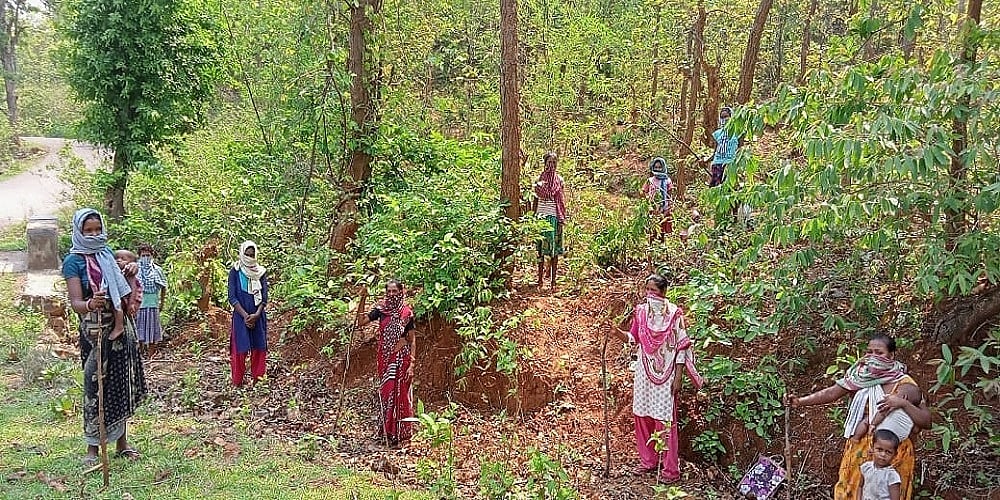 झारखंड में पर्यावरण को बचाने की अनोखी पहल, सखी मंडल की दीदियां कर रही जंगलों की 'पहरेदारी'