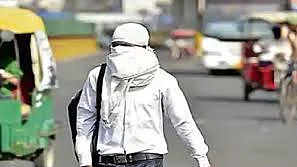 फोटोः सोशल मीडिया