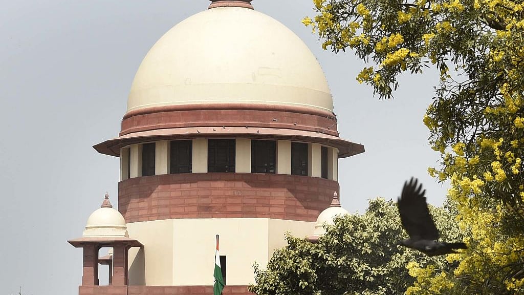 फोटो : Getty Images