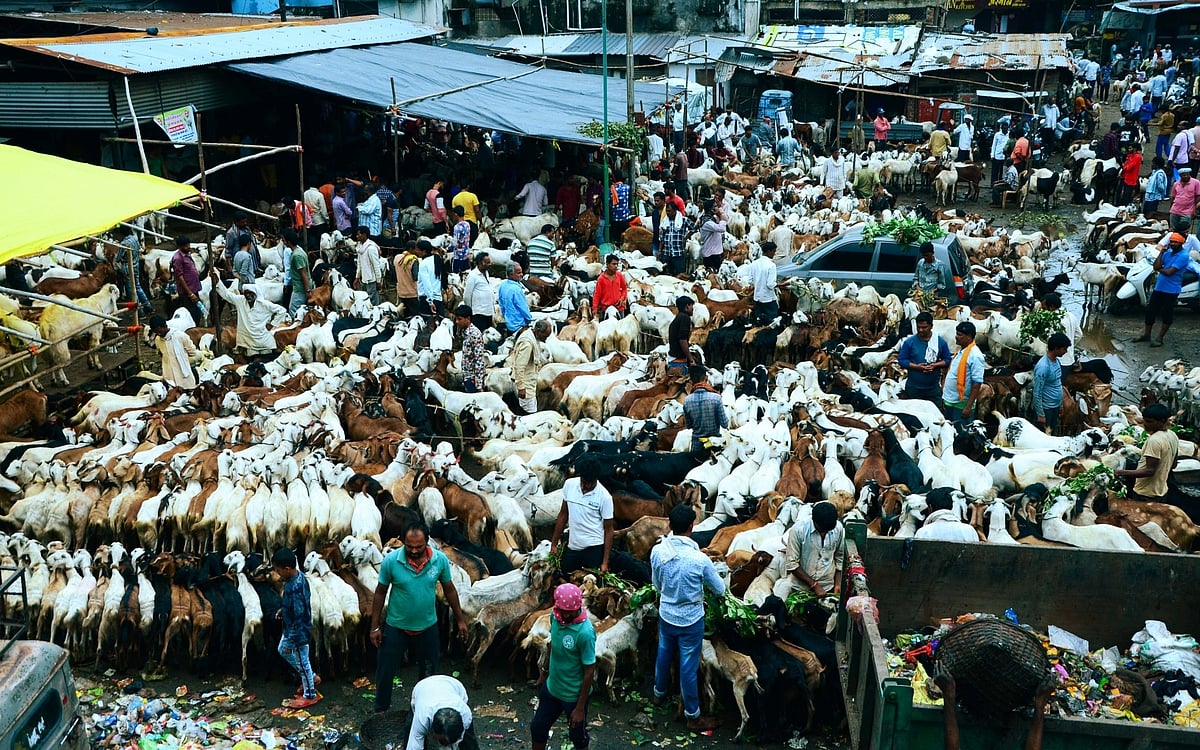 कोरोना का असर: बिहार में बकरीद को लेकर ऑनलाइन हो रही बकरों की बिक्री, वीडियो कॉल और व्हाट्सएप से हो रहा है सौदा
