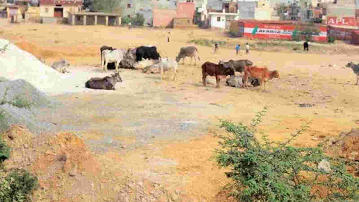 फोटोः सोशल मीडिया