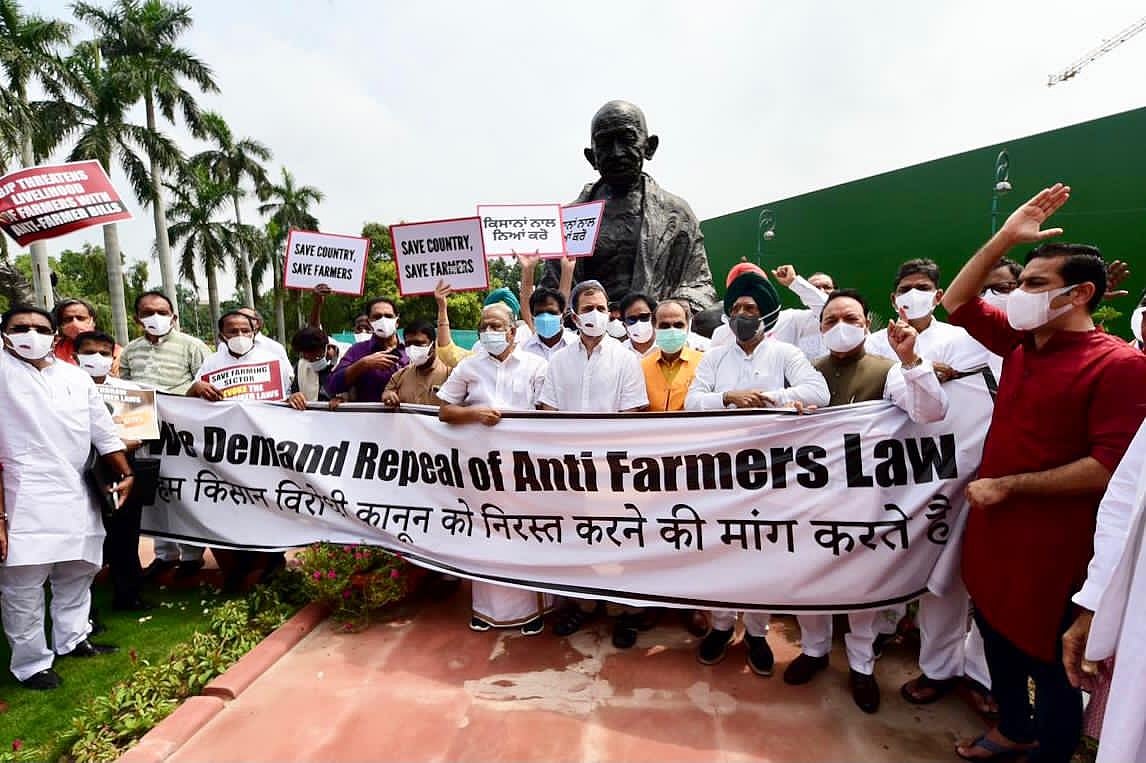 किसान आंदोलन: संसद परिसर में कांग्रेस का प्रदर्शन, राहुल गांधी बोले- वे असत्य, अन्याय पर अड़े, हम एकजुट यहां खड़े 