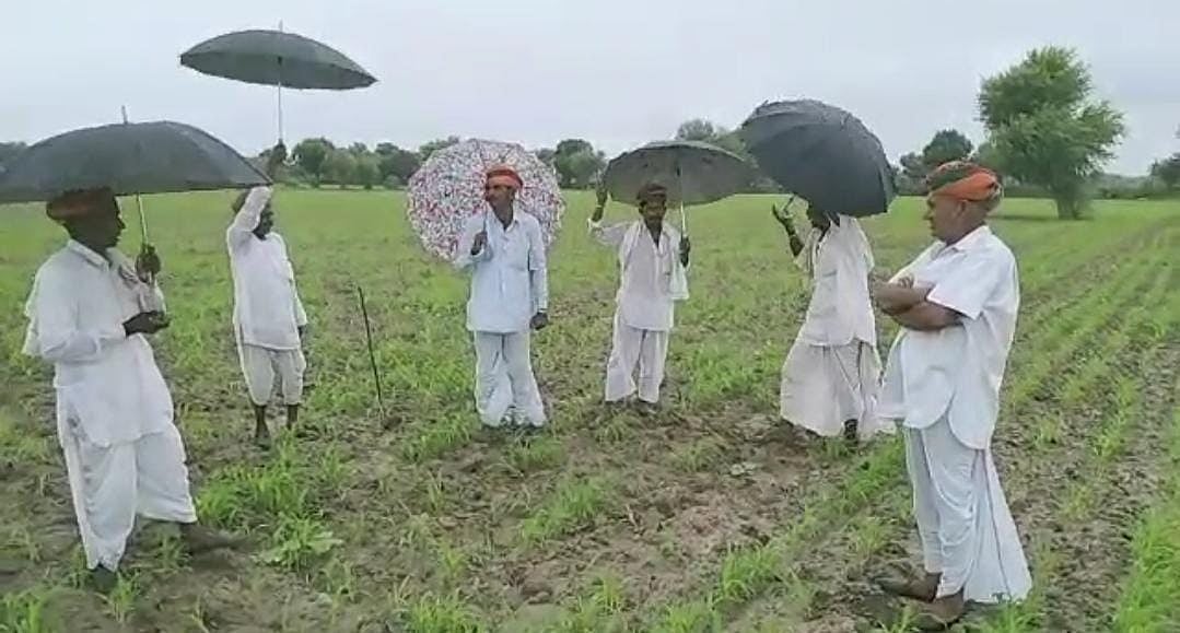 अविश्वसनीय: राजस्थान में किसानों के गीत गाने से होती है बारिश? कैम्ब्रिज करेगा रिसर्च