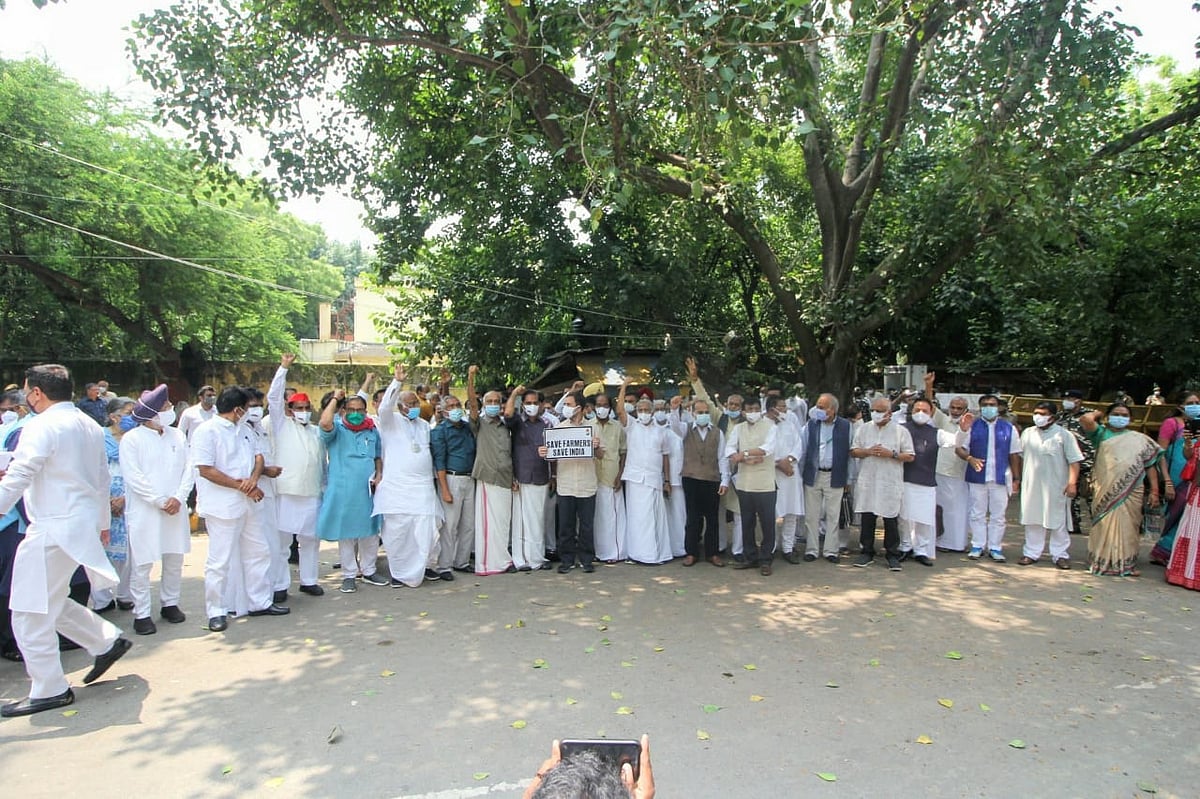 फोटो: विपिन