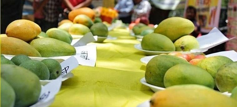 मृणाल पाण्डे का लेख: आम पर बवाल और मंशा पर सवाल