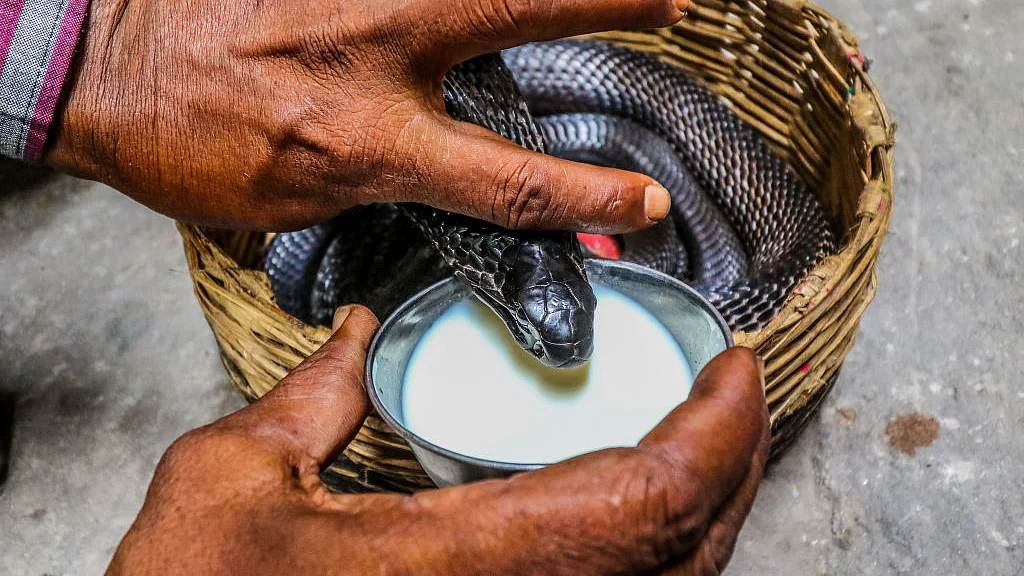 फोटो: Getty Images