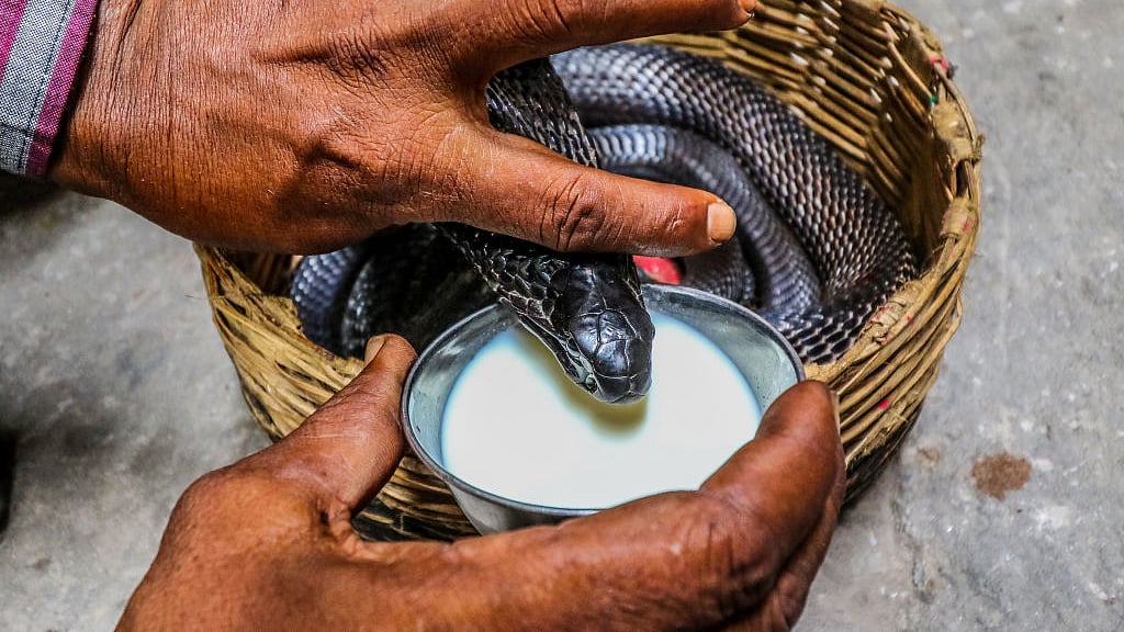 फोटो: Getty Images