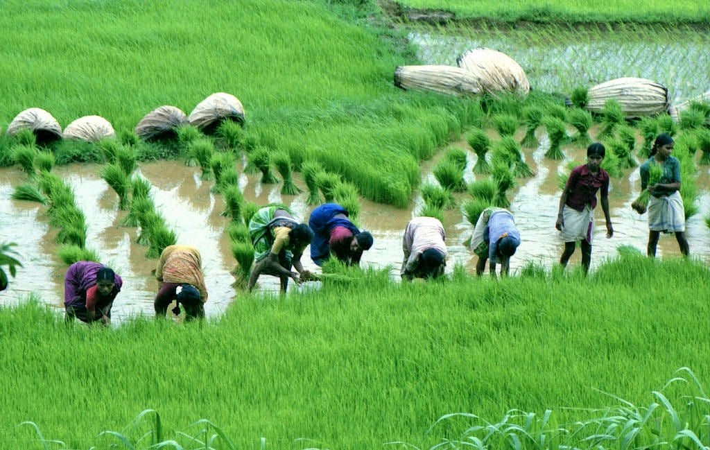 फोटो: IANS