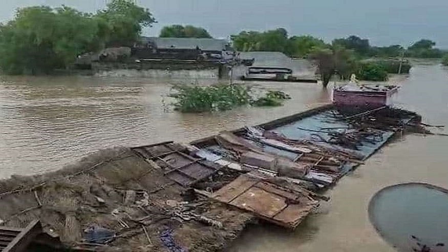 फोटो: सोशल मीडिया