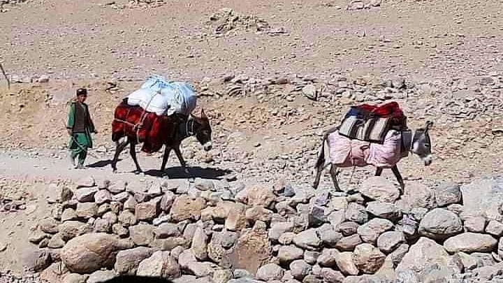 फाइल फोटोः सोशल मीडिया