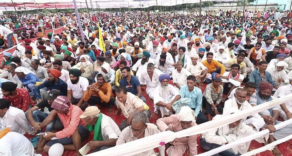 आखिर किसानों के आगे झुकी मोदी सरकार, पंजाब-हरियाणा में कल से होगी धान खरीद, कांग्रेस ने बताया बड़ी जीत