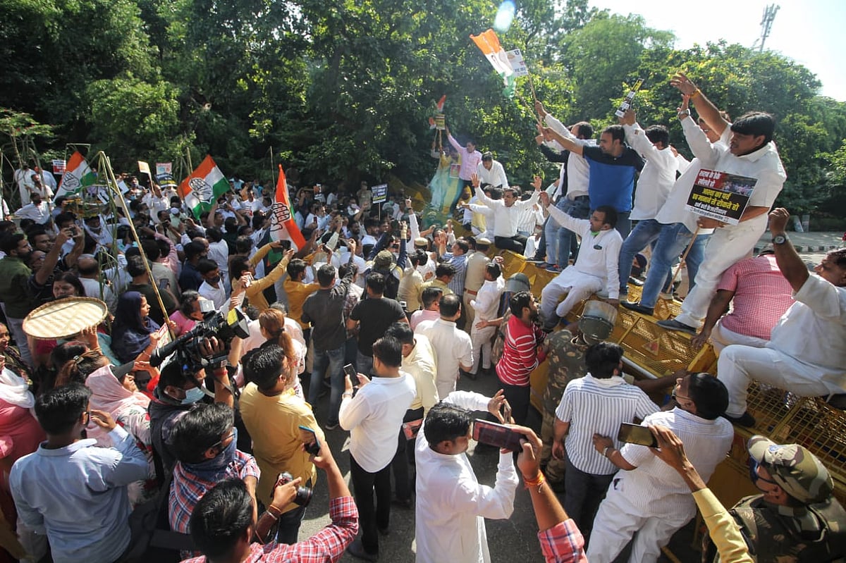 फोटो: विपिन