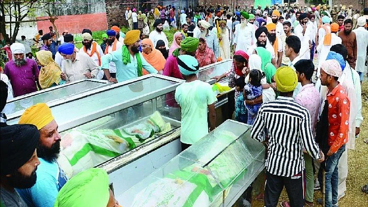 फोटो: सोशल मीडिया