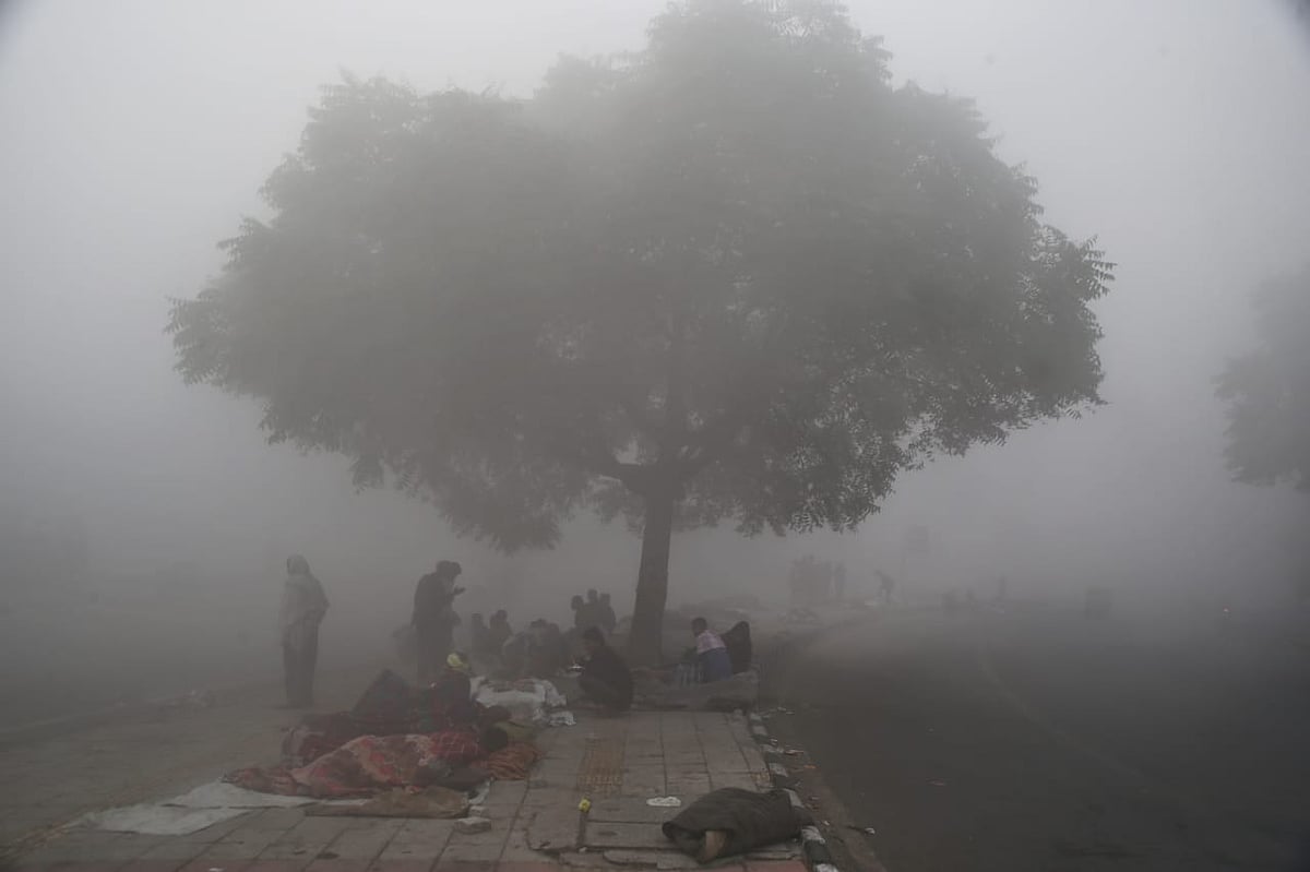 फोटो: विपिन