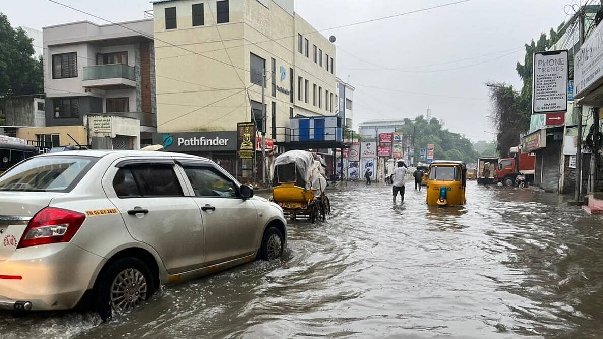 फोटो: सोशल मीडिया