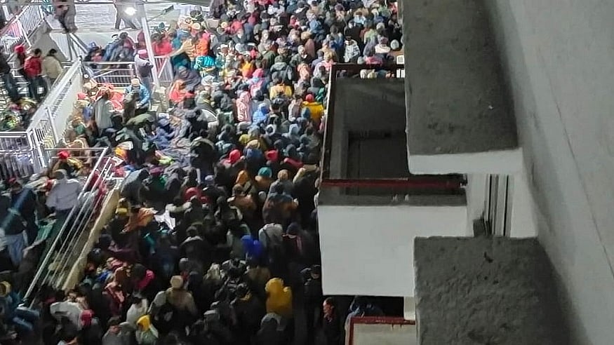 फोटो: सोशल मीडिया
