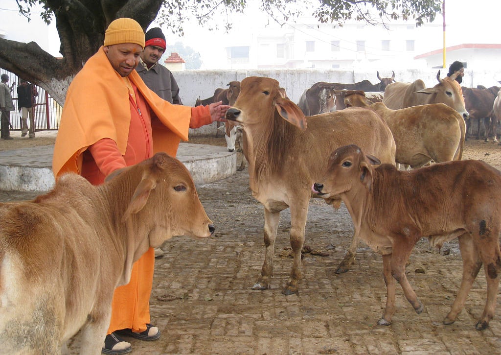 यूपी चुनाव: अपनों के बगावती तेवर को विपक्ष का साथ बढ़ा सकता है सीएम योगी आदित्यनाथ की गोरखपुर में दुश्वारियां
