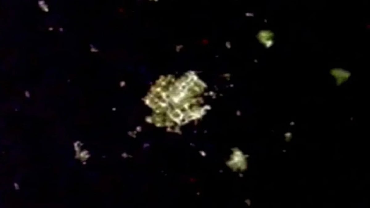 वीडियो: अंतरिक्ष में दिखी रहस्यमय ‘गोल्डन चीज’, UFO एक्सपर्ट ने समझा सोना, सच्चाई जान हैरान रह गई दुनिया!   