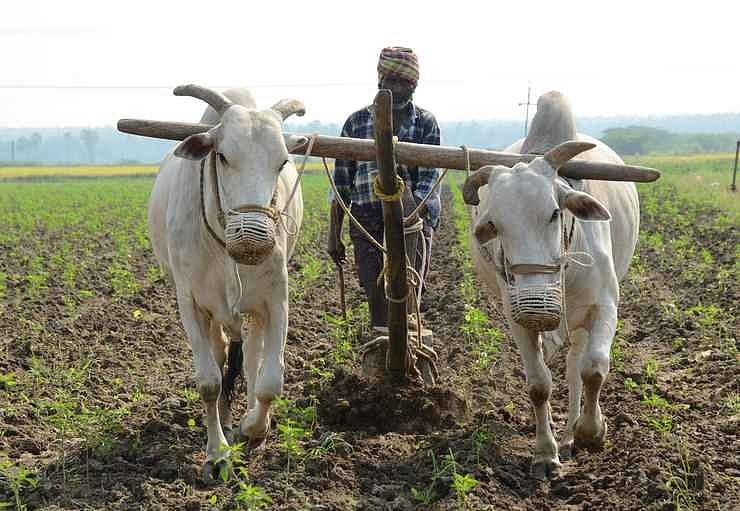 Budget 2022: 'किसानों को 2.3 लाख करोड़ MSP भुगतान के जरिए देने का लक्ष्य' जानें अन्नदाता को बजट में और क्या मिला?   