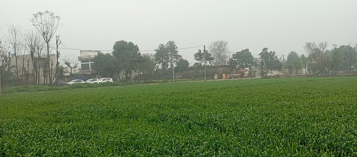 फोटो: धीरेंद्र अवस्थी