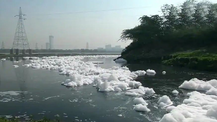 फोटो: सोशल मीडिया