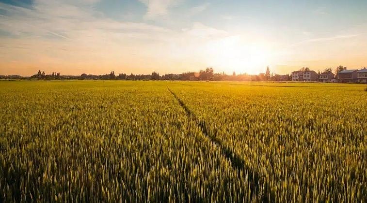 दुनिया की बड़ी खबरें: रूस का करीब आधा विदेशी रिजर्व फ्रीज, कोरोना की फिर दस्तक, यूरोप-एशिया में नए केस की बाढ़