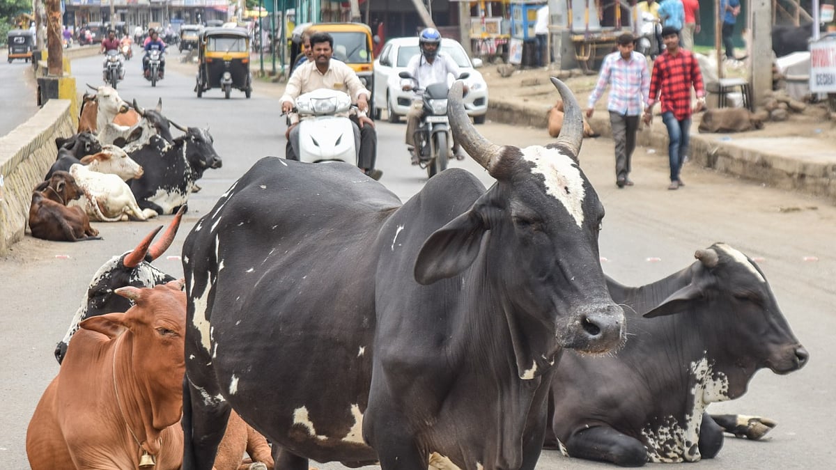 उत्तर प्रदेश में योगी की ताजपोशी आज, लेकिन इन 5 चुनौतियों से कैसे निपटेंगे 'महाराज'
