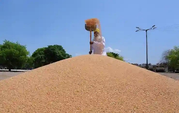 अर्थजगत की खबरें: अब मिस्र को भी गेहूं निर्यात करेगा भारत, व्हाट्सएप ने ग्रुप वॉयस कॉल में 32 लोगों को अनुमति दी