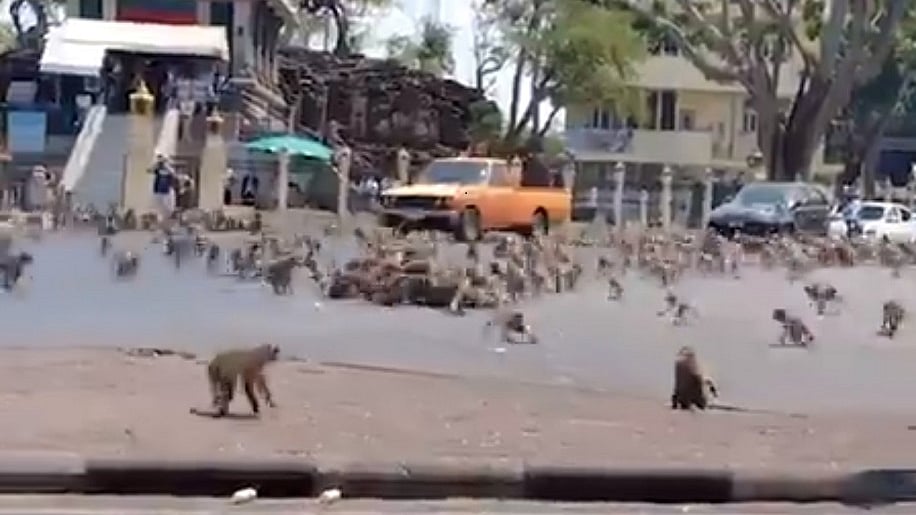 फाइल फोटोः सोशल मीडिया