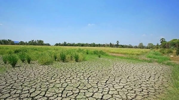 जलवायु आपातकाल! दुनिया की 40 प्रतिशत से अधिक जमीन हो चुकी है बंजर
