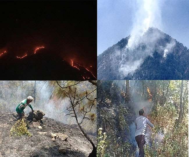 उत्तराखंड के जंगलों में आग हुई विकराल, अब तक कुल 272 स्थानों पर धधके जंगल