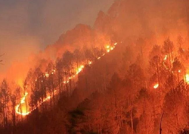 उत्तराखंड में आबादी तक पहुंची पहाड़ों में लगी आग, बागेश्वर में पांच मकान और दो गोदाम आए चपेट में
