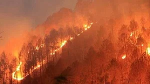 उत्तराखंड में आबादी तक पहुंची पहाड़ों में लगी आग, बागेश्वर में पांच मकान और दो गोदाम आए चपेट में