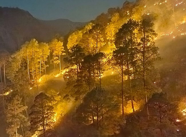 उत्तराखंड में गर्मी का कहर, देर रात चकराता के जंगल में लगी आग, दिखा भयानक मंजर