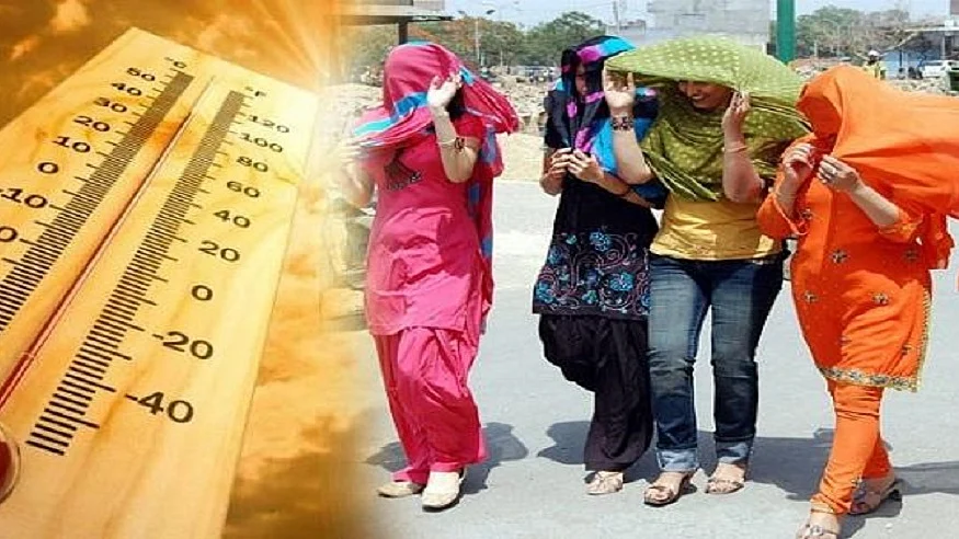 फोटो: सोशल मीडिया