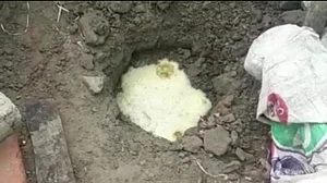 बिहार में बहू ने शराब तस्कर सास की खोली पोल, शौचालय की टंकी से निकली देसी दारू की बोतलें, पुलिस हैरान