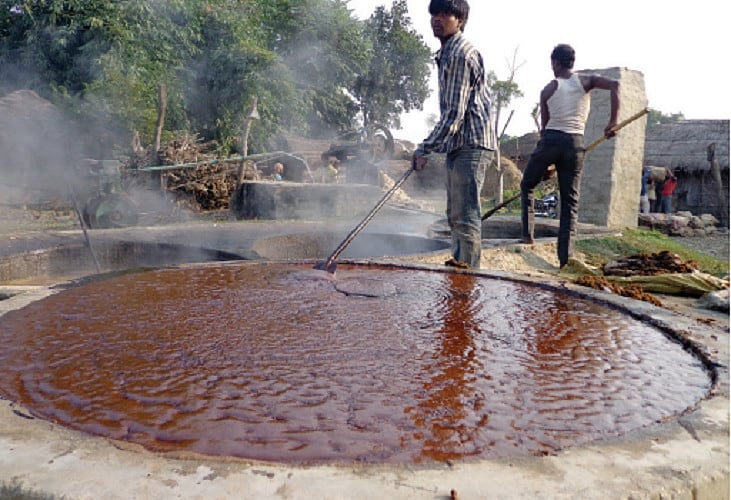 फिर पुराने ढर्रे पर योगी सरकार, महीनों बाद भी गन्ने का भुगतान नहीं, क्रशर और जूस वालों को गन्ना बेच रहे किसान