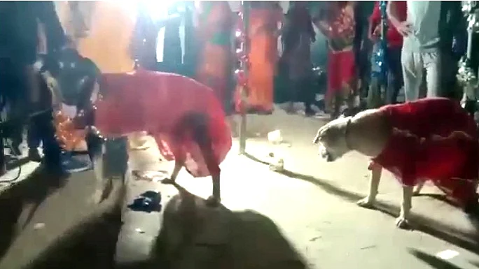 फोटो: IANS