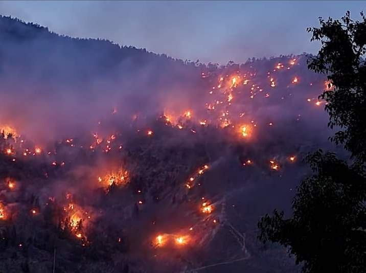 हिमाचल के जंगल में लगी आग में हजारों पेड़ हुए खाक, स्थानीय लोगों का आरोप- सरकार ने नहीं की गंभीर कोशिश