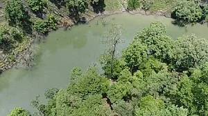 फोटो: सोशल मीडिया