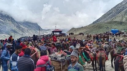 फोटो: सोशल मीडिया