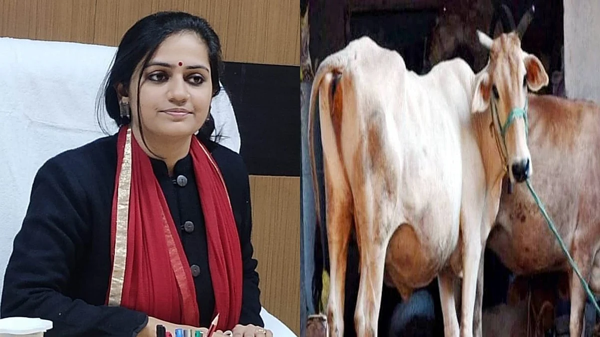 फोटो: सोशल मीडिया