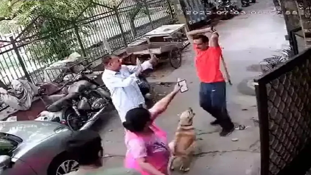 फोटो: सोशल मीडिया 