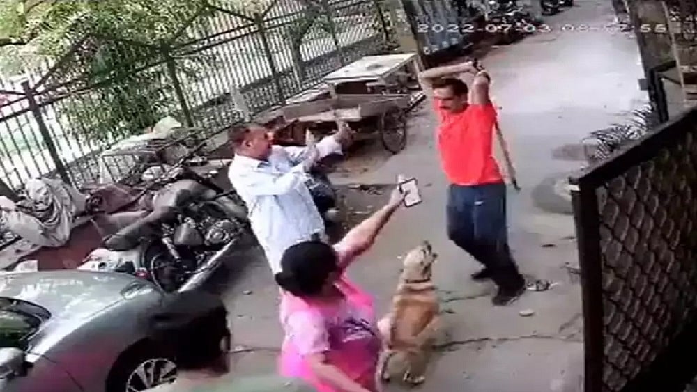 फोटो: सोशल मीडिया 