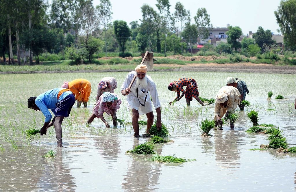 बारिश की बेतरतीबी से खरीफ फसलों पर असर, अभी तक 24 फीसदी कम रही है धान की बुवाई, क्या बिगड़ेगी अर्थव्यवस्था!