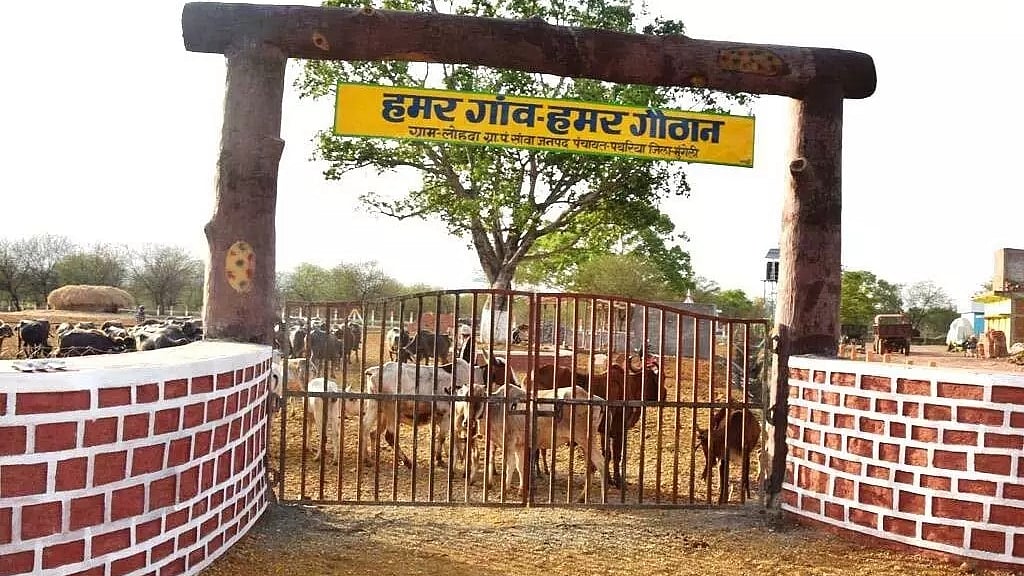 फोटो: IANS