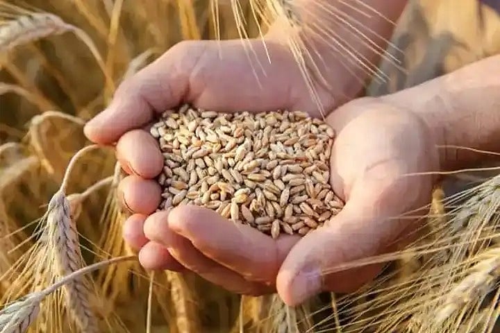 दुनिया की खबरें: प्रदर्शनकारियों ने इराक की संसद पर धावा बोला, नवाज शरीफ ने सरकार छोड़ने की योजना बनाई