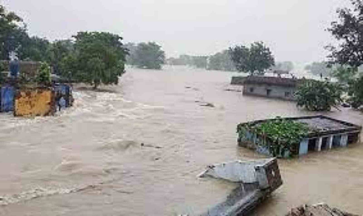 मध्य प्रदेश में बाढ़ के उतरते पानी के बीच सामने आया भयावह मंजर, हजारों मकान ढहे, बड़ी संख्या में मवेशियों की भी मौत