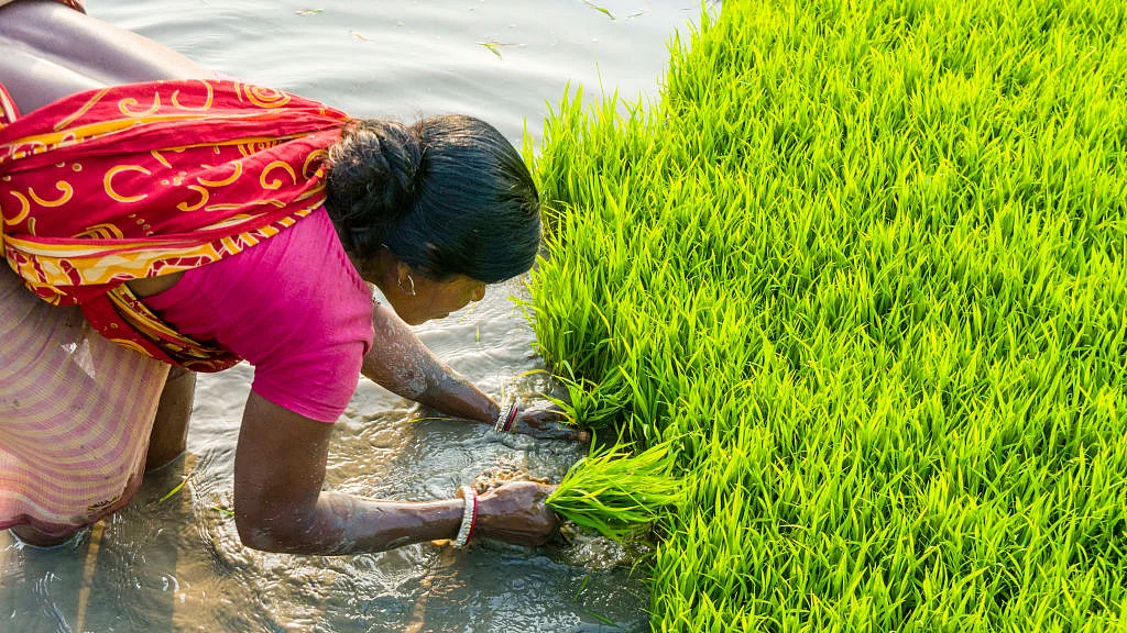फोटो: Getty Images